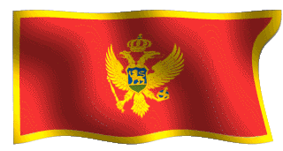 montenegflag